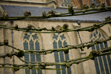 Geleide Lindes op de Markt, Doesburg.