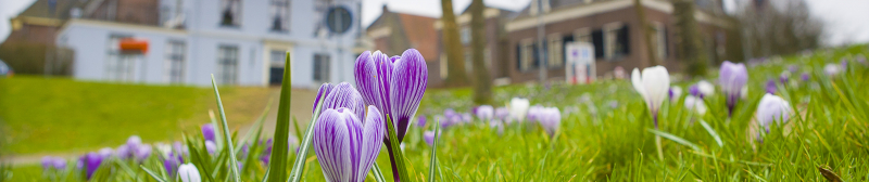 Lente?