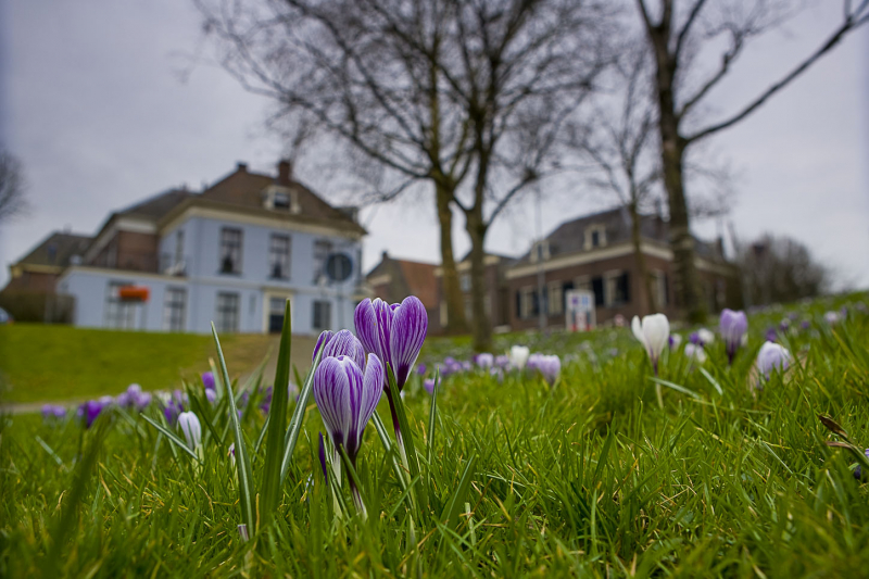 Lente in Doesburg, Koepoortwal.