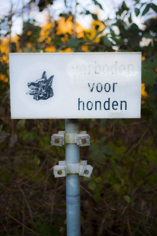 Onze trouwe viervoeter.