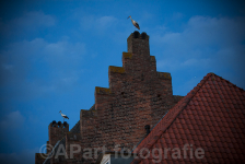 "Hoog" bezoek in de Veerpoortstraat.