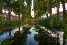 Oranjegekte op de "Voetbalveldsingel".