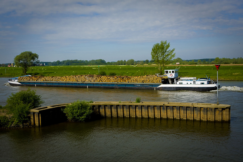 Bos hout voor de deur! IJssel, Doesburg