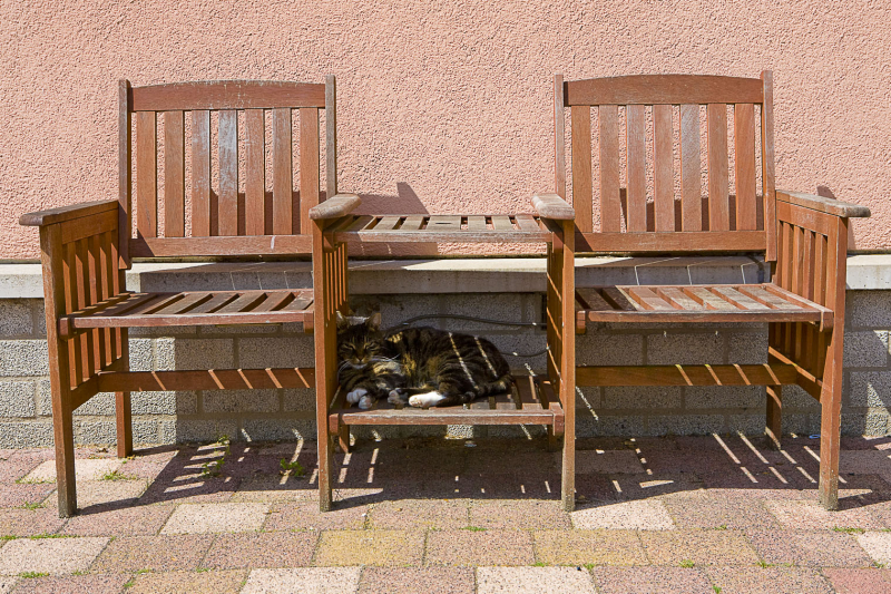 Vlekkie op z'n eigen plekkie, Oranjesingel, doesburg