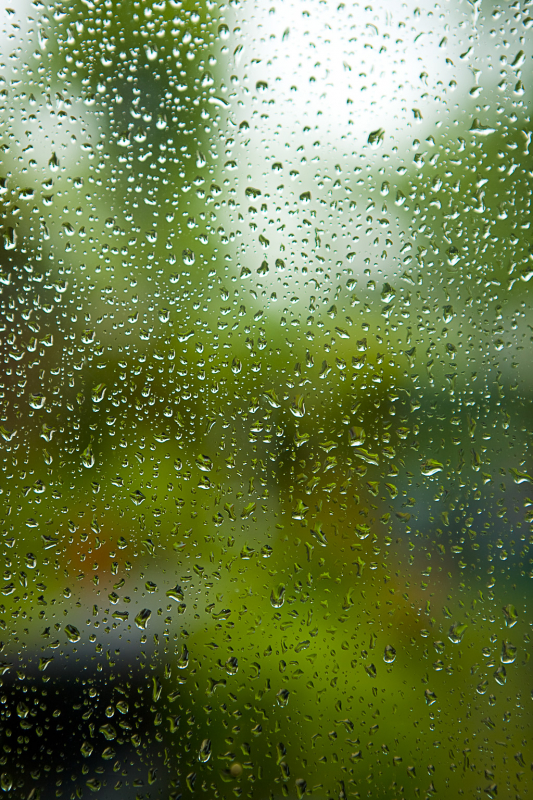 Hoezo mooi weer en 24&Acirc;&deg;C ! Regen, Doesburg