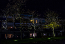 Fee&Atilde;&laquo;riek verlichte bomen.