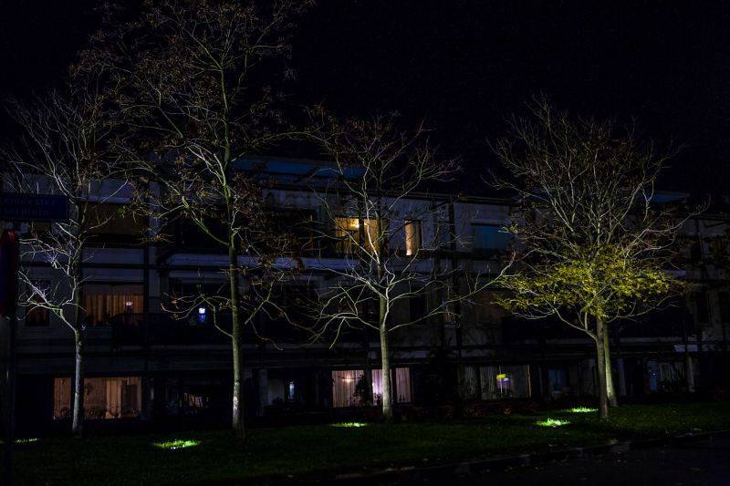 Fee&Atilde;&laquo;riek verlichte bomen.